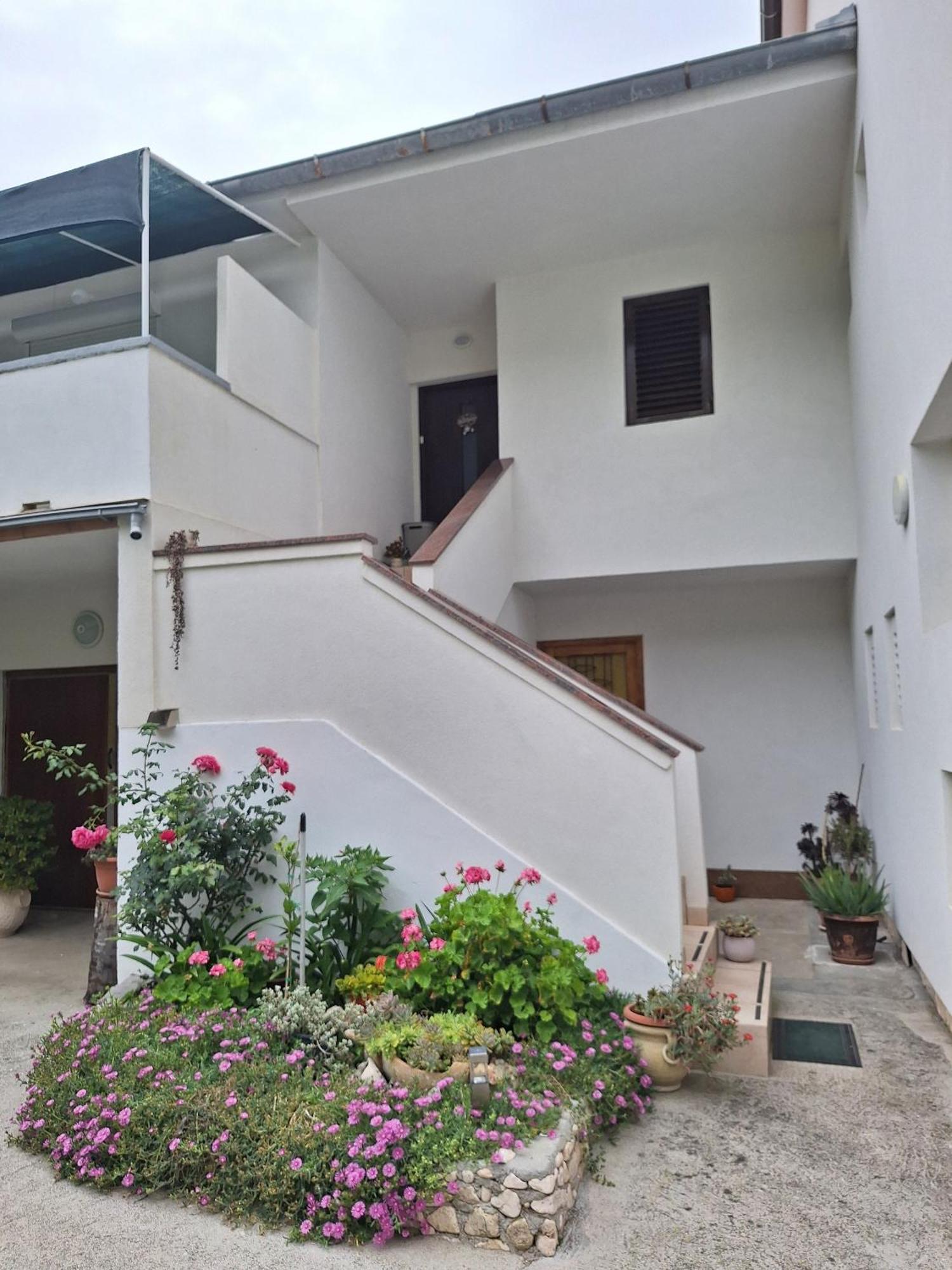 Apartments With A Parking Space Supetarska Draga - Donja, Rab - 15999 المظهر الخارجي الصورة